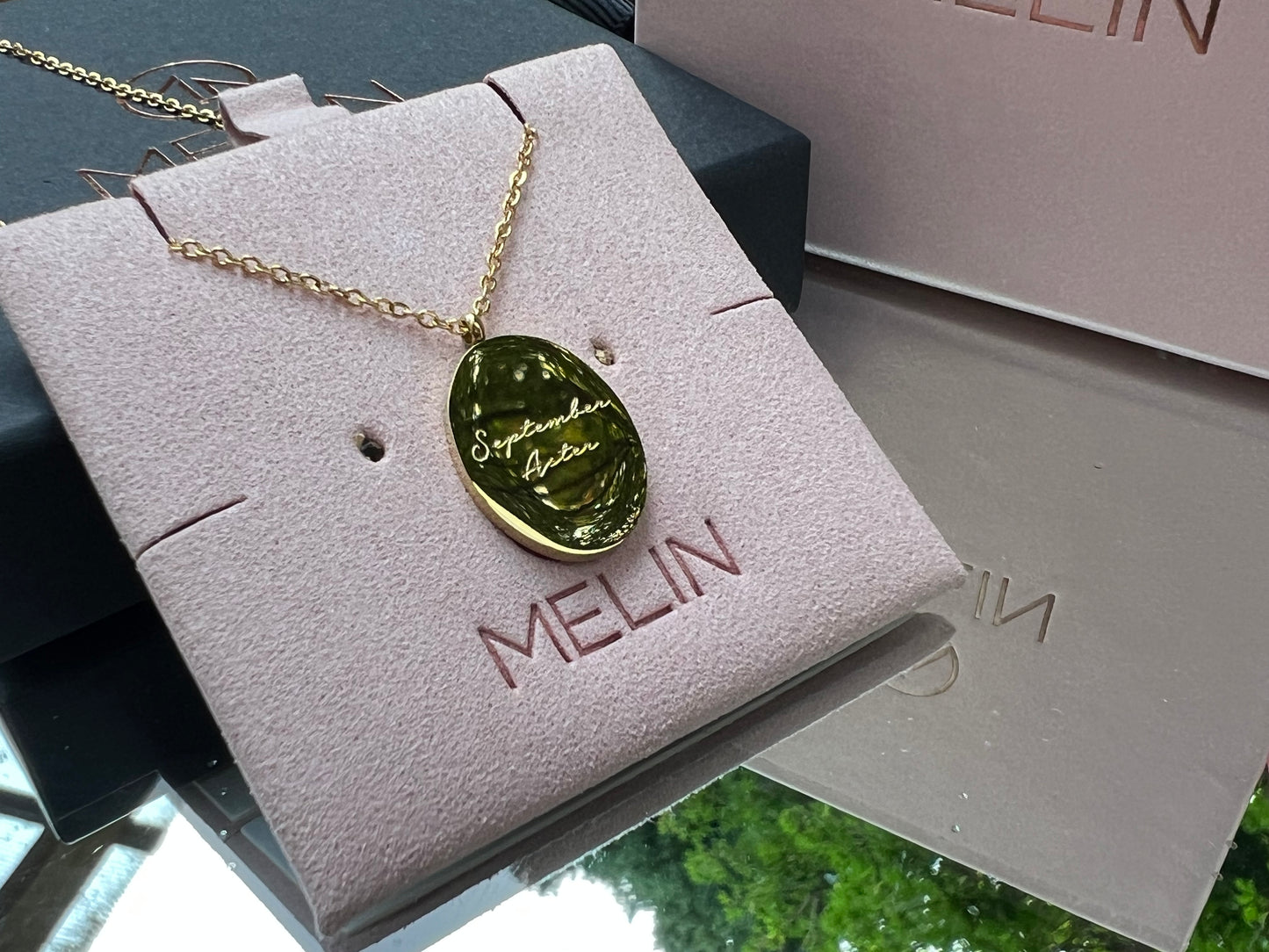 Birth Flower September - Aster